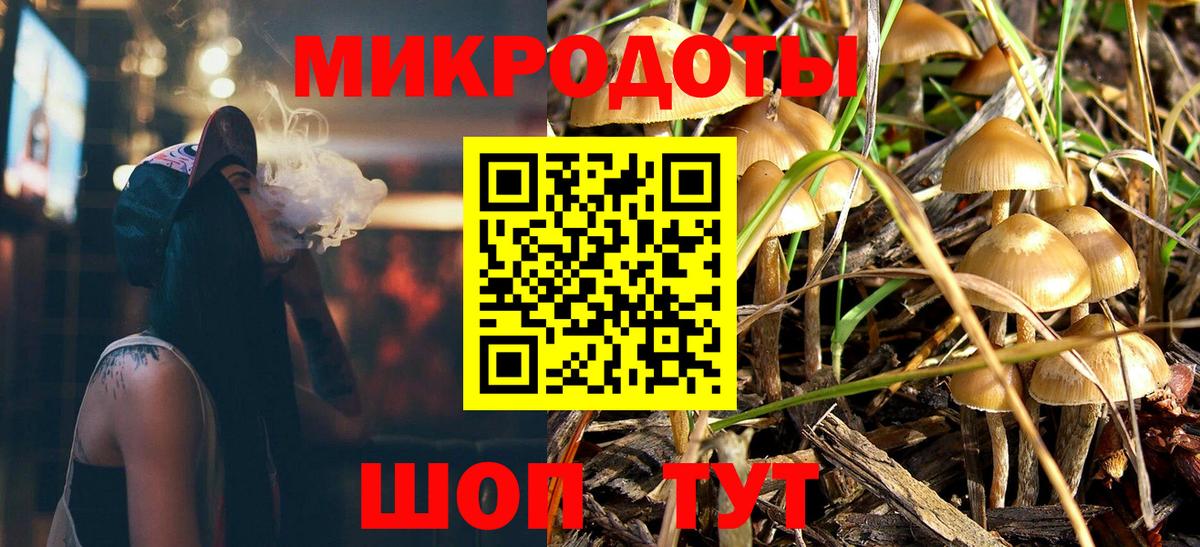 Псилоцибиновые грибы GOLDEN TEACHER  Вход с VPN  Псилоцибиновые грибы GOLDEN TEACHER  Новосибирск 