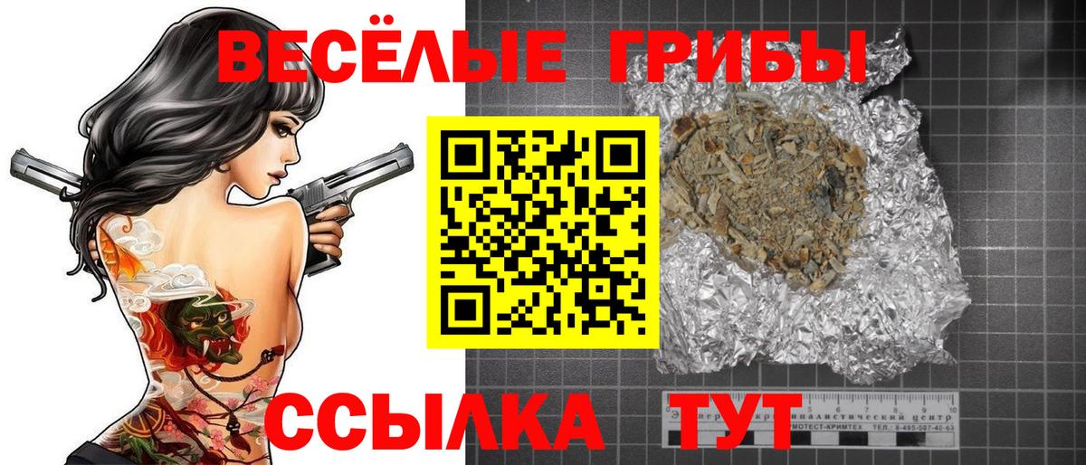 Псилоцибиновые грибы Cubensis Новосибирск
